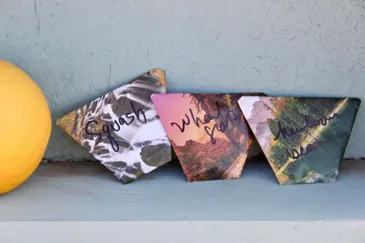 About Garden Exchange Stands Org – This Is Tucson